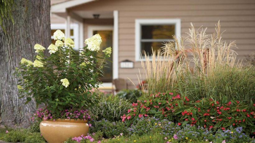 How does your garden grow in front of your house?