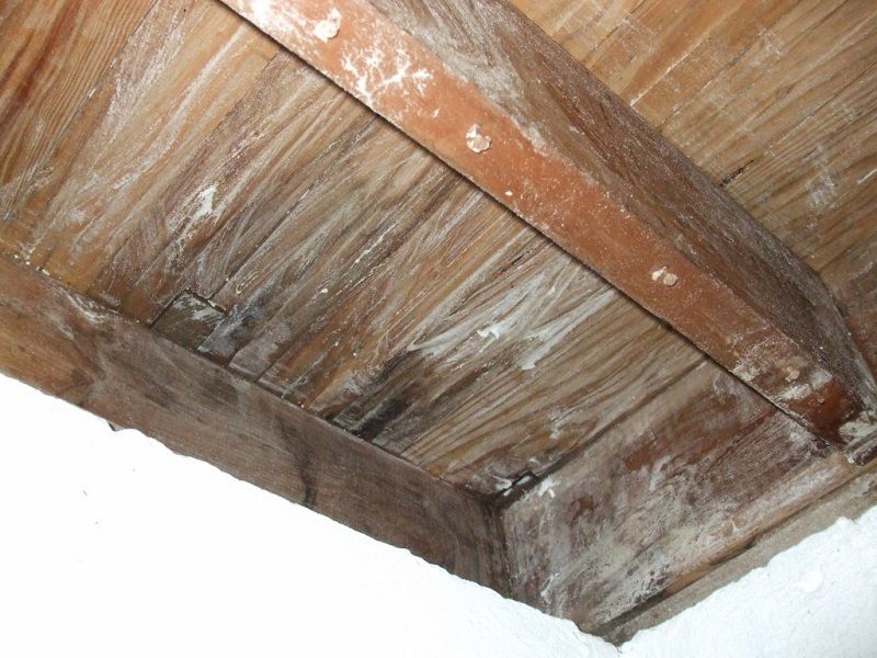 How to remove black mold from wood