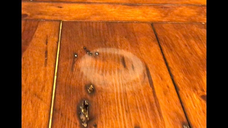 How to remove oil stains from unfinished wood floor