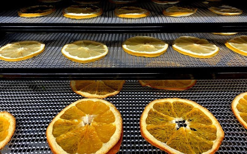 Sedona Food Dehydrator