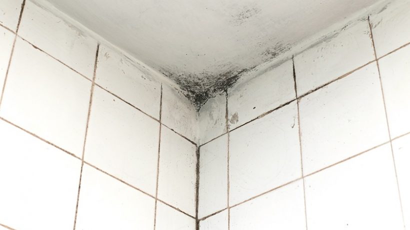 How to remove mold from bathroom ceiling? 4 Natural ways