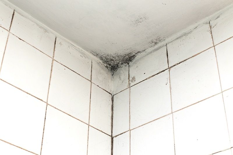 How to remove mold from bathroom ceiling