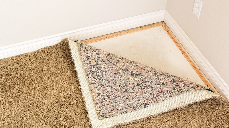 How to remove mold from carpeting?
