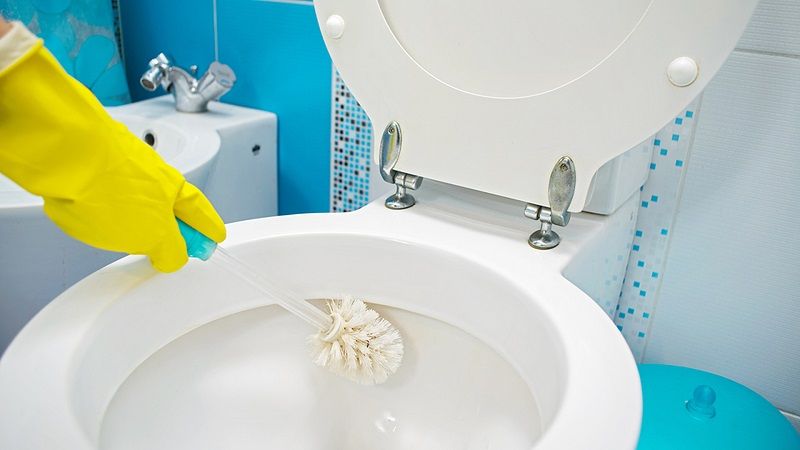 Sanitary cleaning: the most important