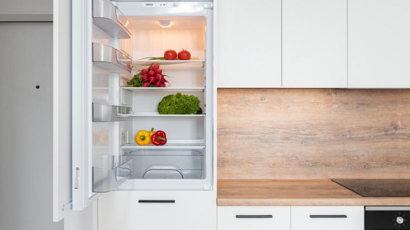 Essential Tips for Moving Your Refrigerator