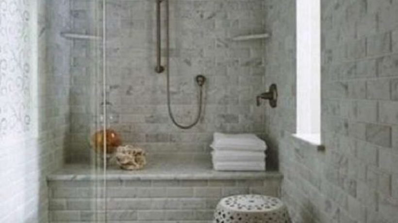 Small Black Worms In Shower: How To Get Rid Of It