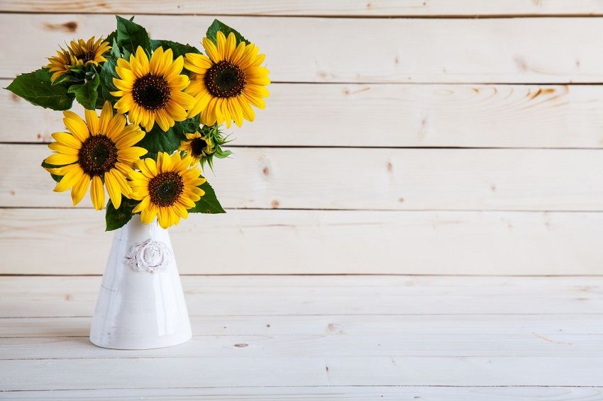 How Do You Cut Sunflowers in a Vase: Arranging Sunflowers in a Vase