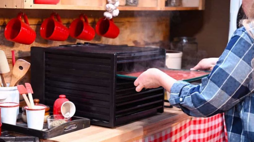 Troubleshooting Common Commercial Food Dehydrator Issues: A Comprehensive Guide