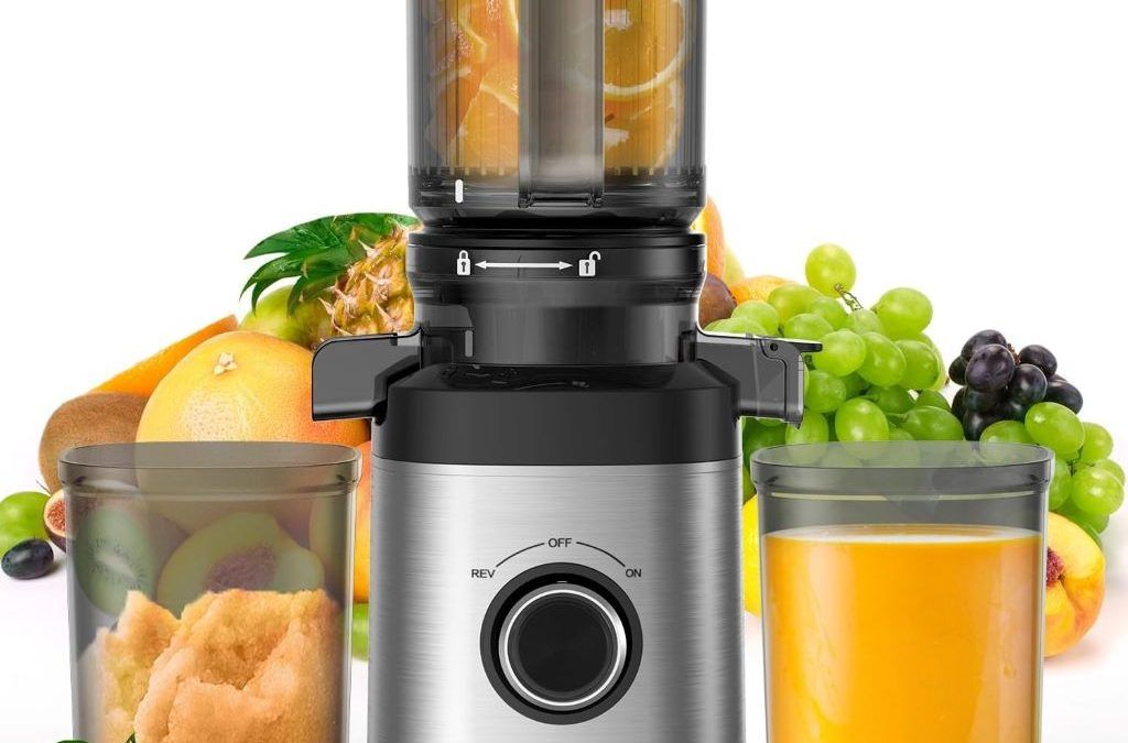 PSIIDAN Cold Press Juicer machine for whole fruits and vegetables with high juice yield