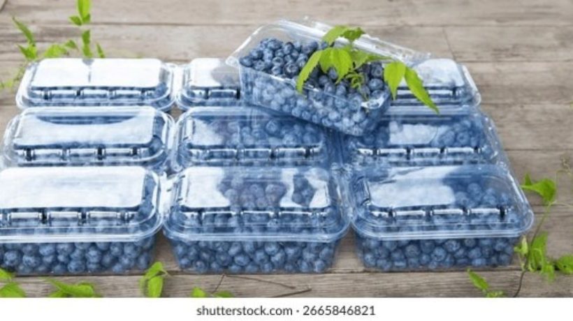 Fresh vs Frozen Pint of Blueberries Weight: Understanding the Difference