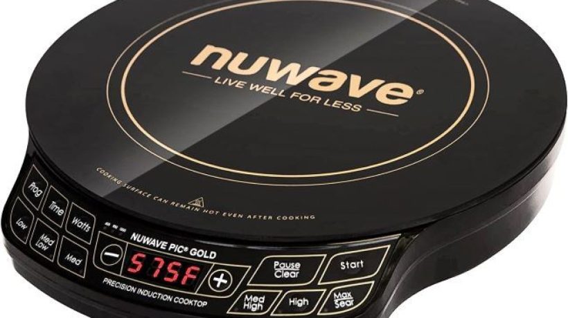 Powerful And Portable: NuWave Gold Precision Induction Cooktop Review