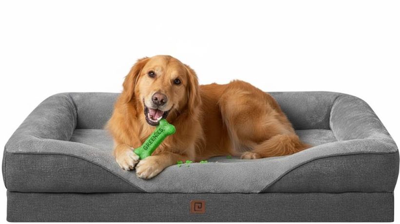 Greenies Original Dental Dog Treats Review: Are They Vet-Approved?