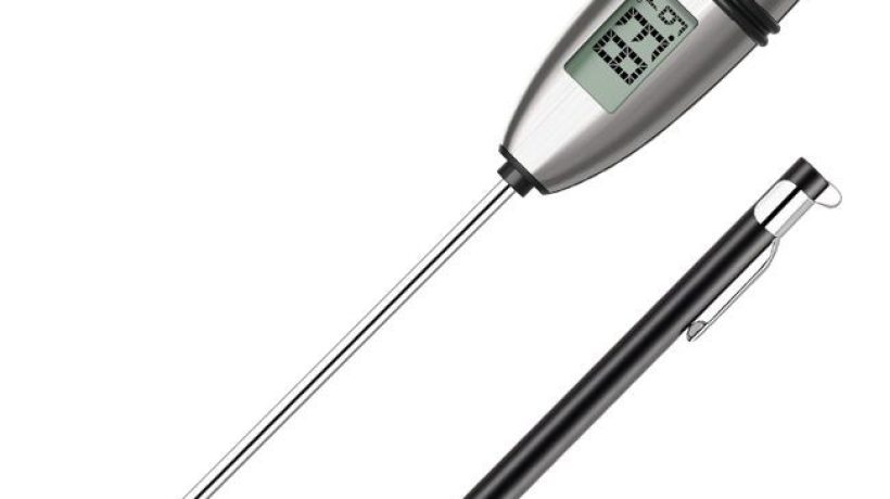 ThermoPro TP02S Digital Thermometer Review – Ideal for BBQ, Candy And Sourdough