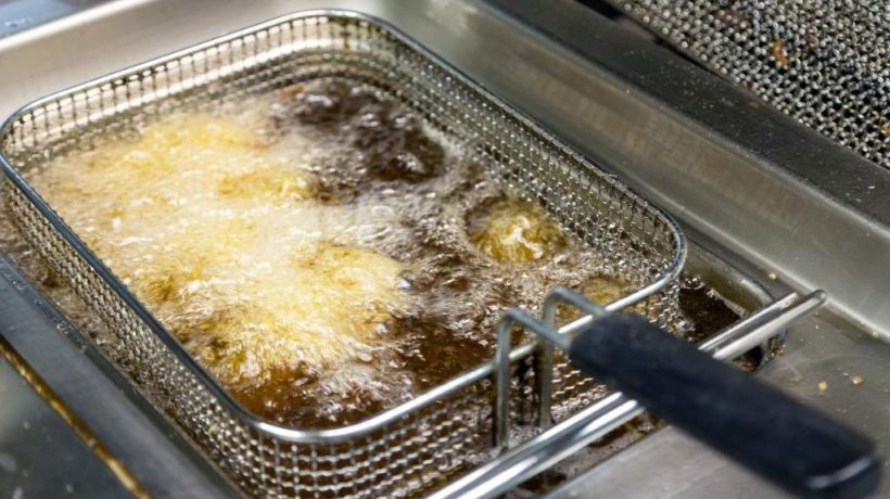 How to Choose a Deep Fryer with Oil Filtration: Top Picks for Cleaner Cooking
