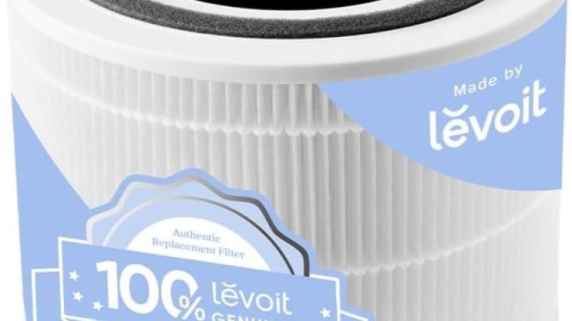Best Levoit Core 300-P Air Purifier Filter in Pennsylvania (PA): What Makes the HEPA and Carbon Design Stand Out?