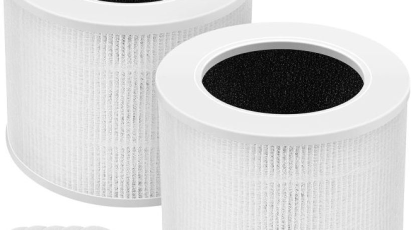 Best Core Mini Replacement Filter in Georgia (GA): Is This 2-Pack Worth Buying?